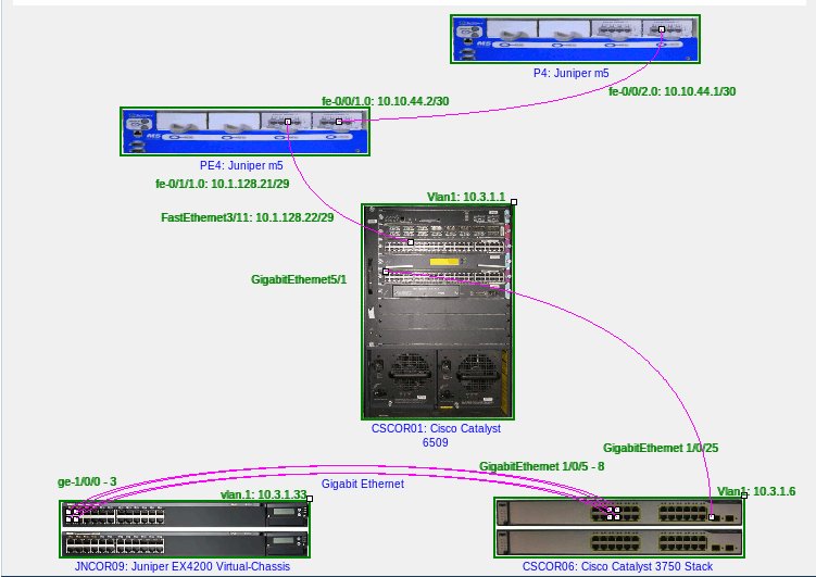 JUNOS Lab network